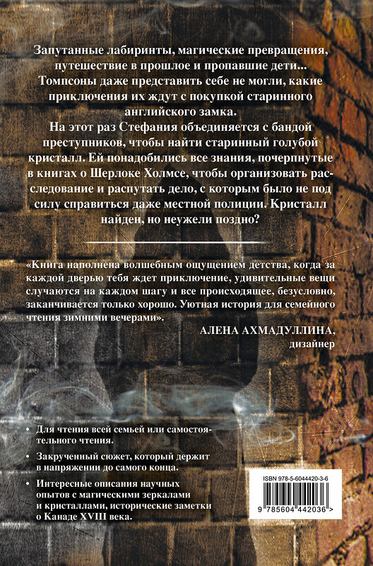 Эксмо Екатерина и Сергей Духины "Тайна английского замка. Часть 3" 362018 978-5-6044420-3-6 