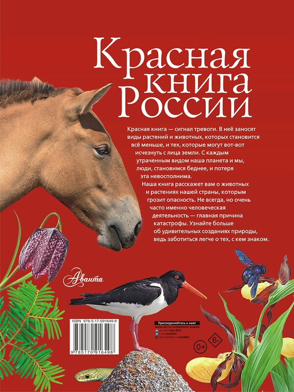 АСТ Пескова И.М., Дмитриева Т.Н., Смирнова С.В., Куксина Н.В., Зотова М.Г., Тимоханов В.А. и др. "Красная книга России" 364137 978-5-17-091649-8 