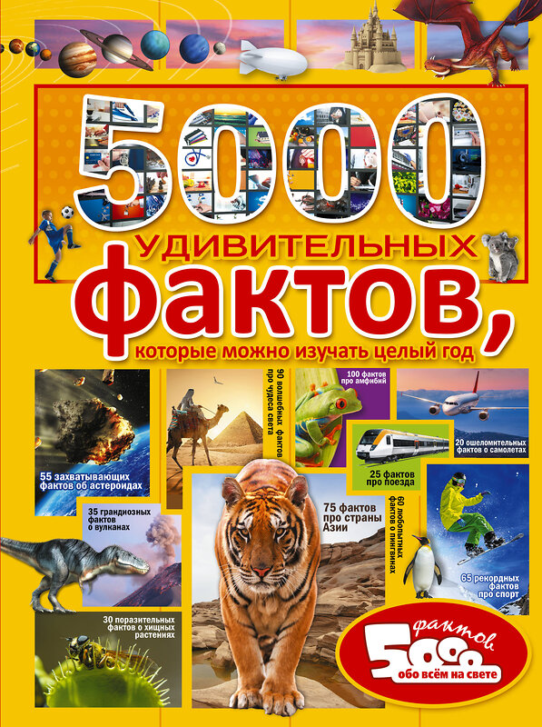 АСТ . "5000 удивительных фактов, которые можно изучать целый год" 368597 978-5-17-114728-0 