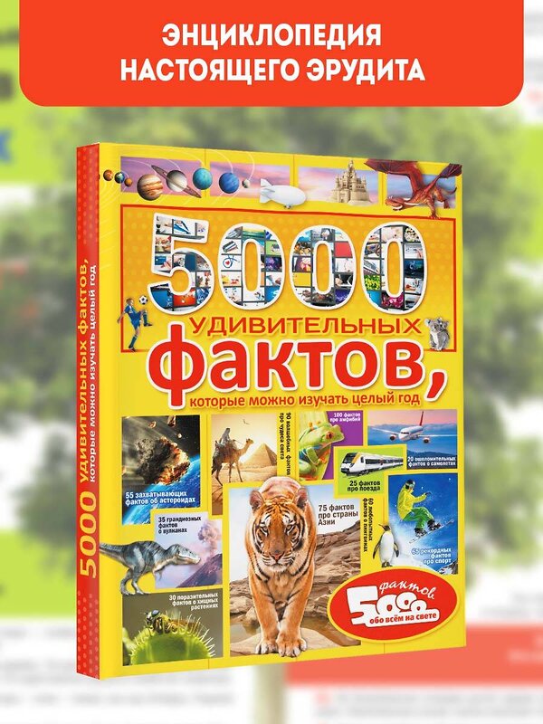 АСТ . "5000 удивительных фактов, которые можно изучать целый год" 368597 978-5-17-114728-0 