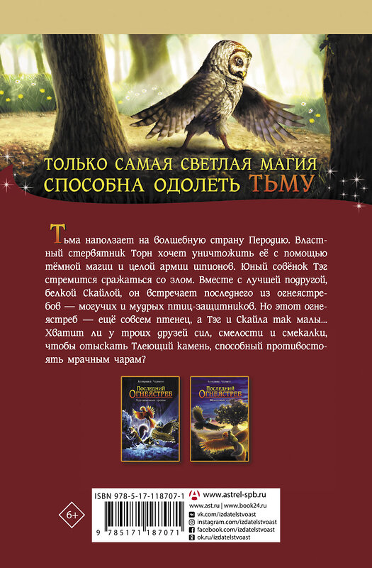 АСТ Катрина Чармен "Последний огнеястреб. Тлеющий камень" 369869 978-5-17-118707-1 