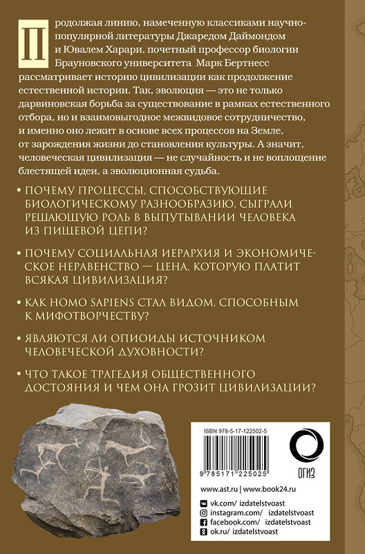 АСТ Марк Бертнесс "Краткая естественная история цивилизации" 371291 978-5-17-122502-5 