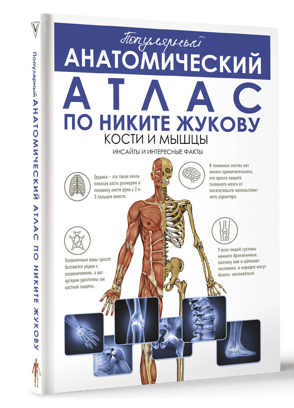 АСТ Жуков Никита Эдуардович "Популярный анатомический атлас по Никите Жукову: кости и мышцы. Инсайты и интересные факты" 372097 978-5-17-132857-3 