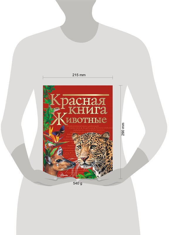 АСТ Куксина Н.В., Смирнова С.В. "Красная книга. Животные" 372528 978-5-17-134424-5 