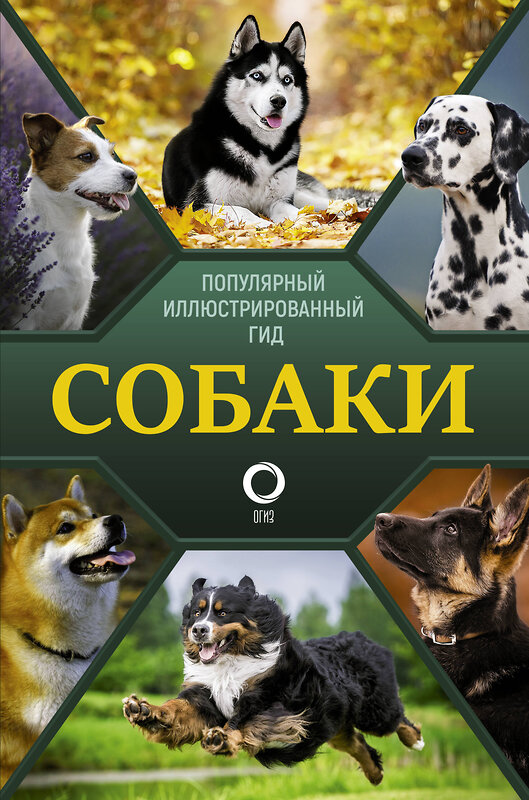 АСТ Барановская И.Г., Вайткене Л.Д., Хомич Е.О. "Собаки. Популярный иллюстрированный гид" 372800 978-5-17-134746-8 