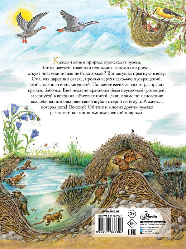 АСТ Царинная В.А. "Чудеса природы. 50 историй в картинках для детей" 374112 978-5-17-137660-4 