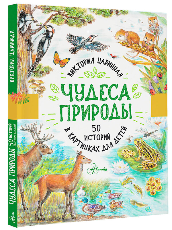 АСТ Царинная В.А. "Чудеса природы. 50 историй в картинках для детей" 374112 978-5-17-137660-4 