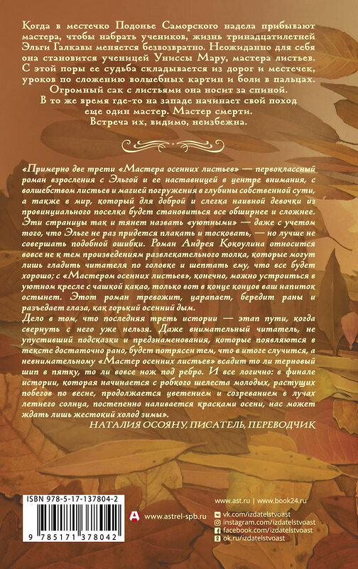 АСТ Андрей Кокоулин "Мастер осенних листьев" 374193 978-5-17-137804-2 