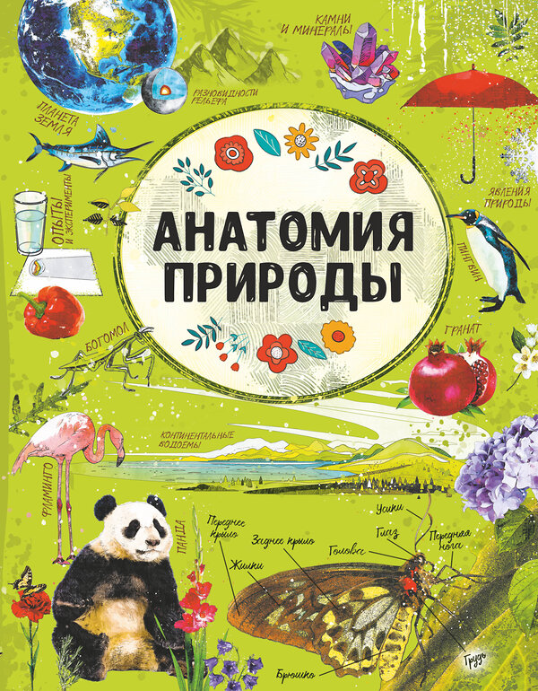 АСТ Вайткене Л.Д., Хомич Е.О., Аниашвили К.С. и др. "Анатомия природы" 375160 978-5-17-144710-6 