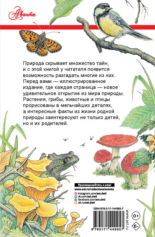 АСТ Джо Браун "Секреты родной природы. Дневник маленьких открытий на каждый день" 375360 978-5-17-144995-7 