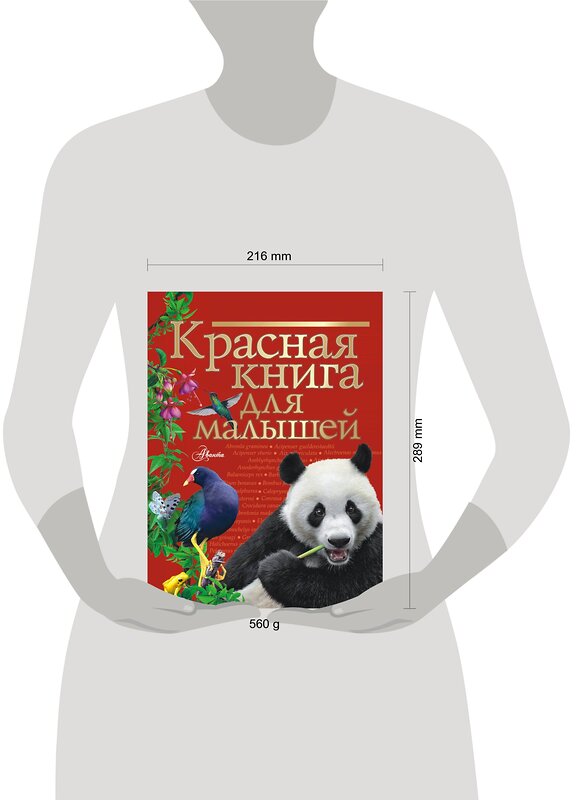 АСТ Бабенко В.Г. "Красная книга для малышей" 377581 978-5-17-148302-9 
