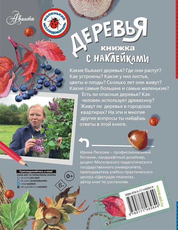 АСТ Пескова И.М. "Деревья" 378653 978-5-17-148584-9 