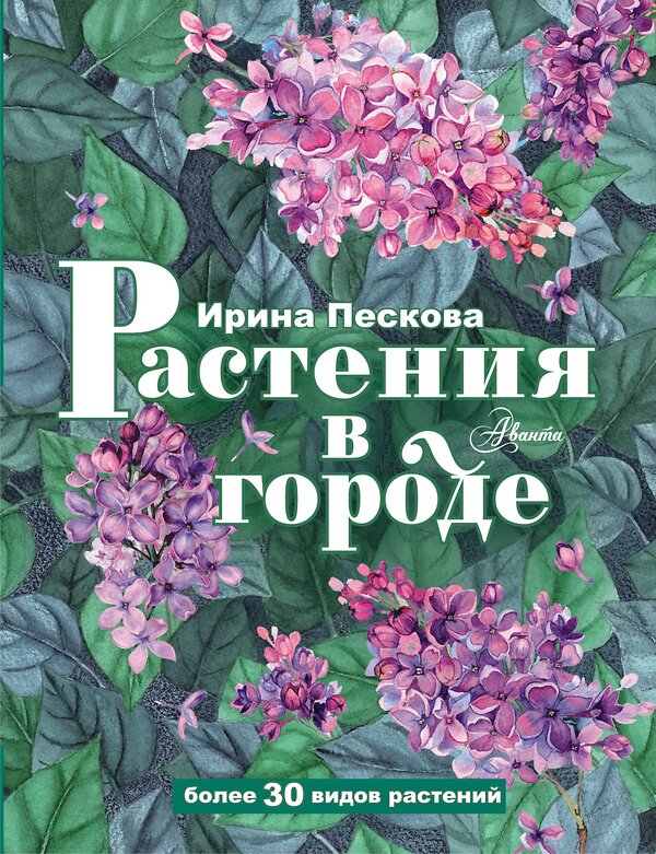 АСТ Пескова И.М. "Растения в городе" 379180 978-5-17-150624-7 