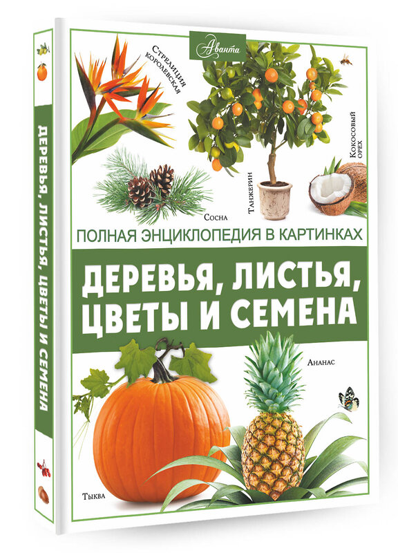 АСТ Спектор А.А. "Деревья, листья, цветы и семена" 380569 978-5-17-155223-7 