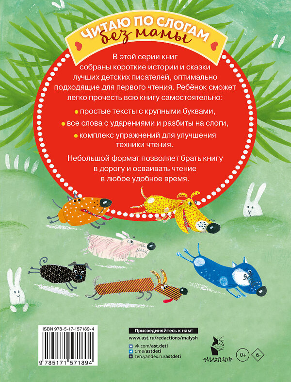 АСТ Остер Г.Б., Успенский Э.Н., Драгунский В.Ю., Кургузов О.Ф. "Прикольные истории для первого чтения" 385182 978-5-17-157189-4 