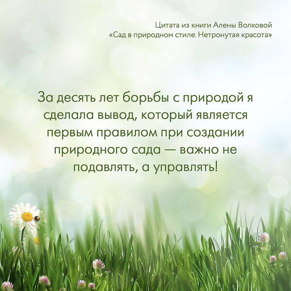 АСТ Алена Волкова "Сад в природном стиле. Нетронутая красота" 385195 978-5-17-157215-0 