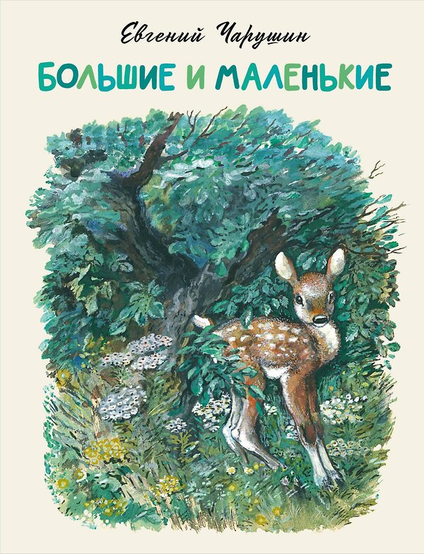 АСТ Евгений Чарушин "Большие и маленькие" 411963 978-5-17-162137-7 