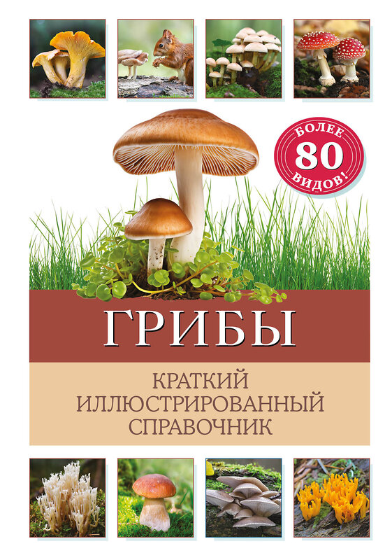 Эксмо Бэрбель Офтринг "Грибы. Краткий иллюстрированный справочник" 427887 978-5-04-193145-2 