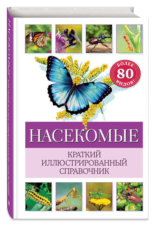 Эксмо Бэрбель Офтринг "Насекомые. Краткий иллюстрированный справочник" 427888 978-5-04-193147-6 