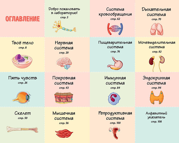 Эксмо Бетти Чой "Тело человека. Домашняя лаборатория для детей" 435693 978-5-04-199891-2 