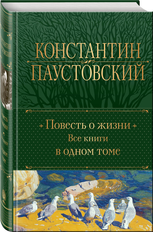 Эксмо Константин Паустовский "Повесть о жизни. Все книги в одном томе" 435716 978-5-04-200102-4 