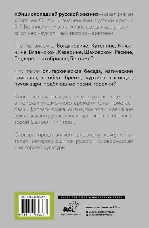 АСТ Л. Салимова "Евгений Онегин. Читаем со словарем. Комментарии к роману" 436551 978-5-17-165237-1 