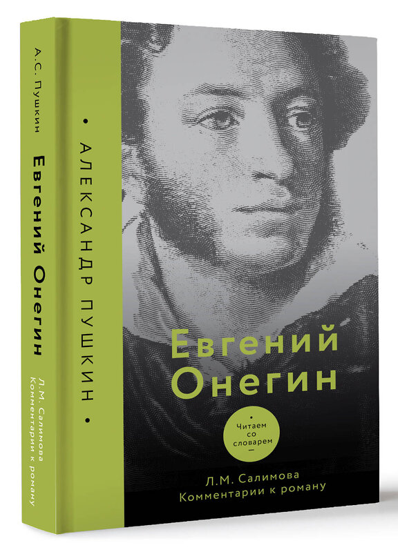 АСТ Л. Салимова "Евгений Онегин. Читаем со словарем. Комментарии к роману" 436551 978-5-17-165237-1 