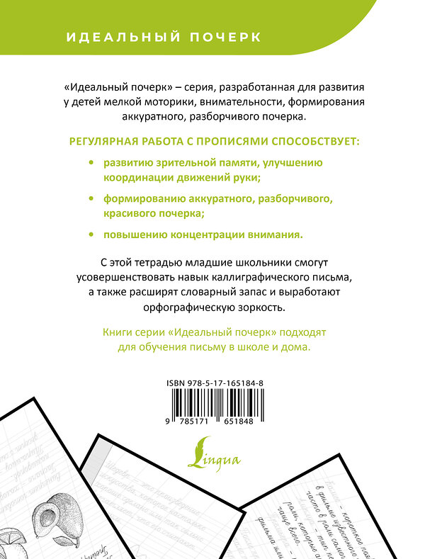 АСТ . "Русский язык. Учимся писать слова-заимствования" 438353 978-5-17-165184-8 