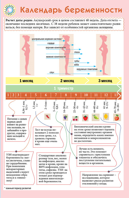 Эксмо "Календарь беременности" 440467 978-5-699-76812-7 