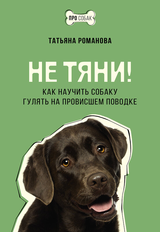 АСТ Татьяна Романова "Не тяни! Как научить собаку гулять на провисшем поводке" 441054 978-5-17-162369-2 