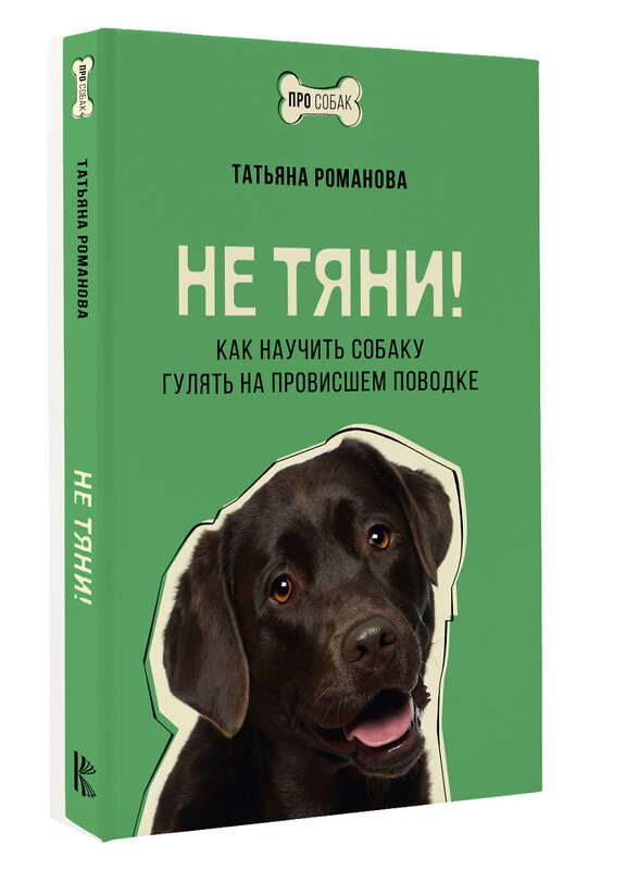 АСТ Татьяна Романова "Не тяни! Как научить собаку гулять на провисшем поводке" 441054 978-5-17-162369-2 