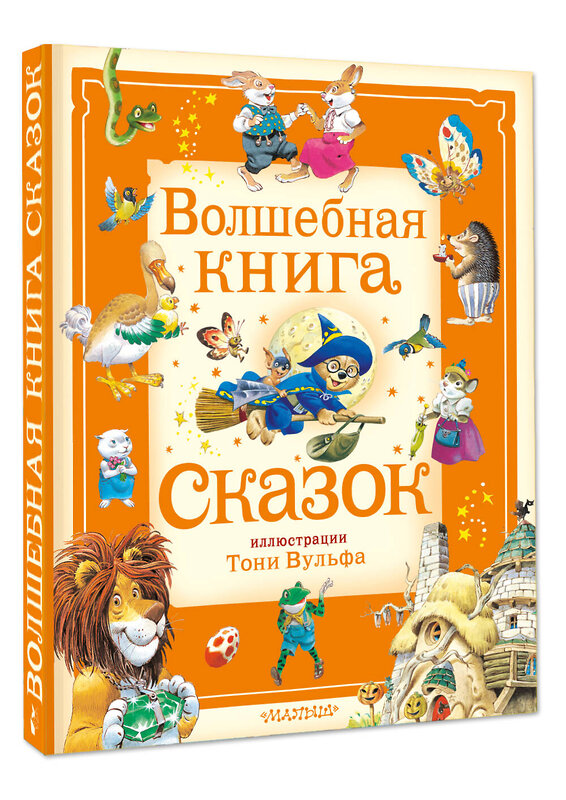 АСТ Питер Холейнон, Анна Касалис "Волшебная книга сказок. Илл. Тони Вульфа" 441069 978-5-17-162990-8 