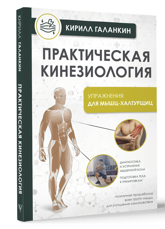 АСТ Галанкин К. "Практическая кинезиология. Упражнения для мышц-халтурщиц" 441083 978-5-17-163778-1 