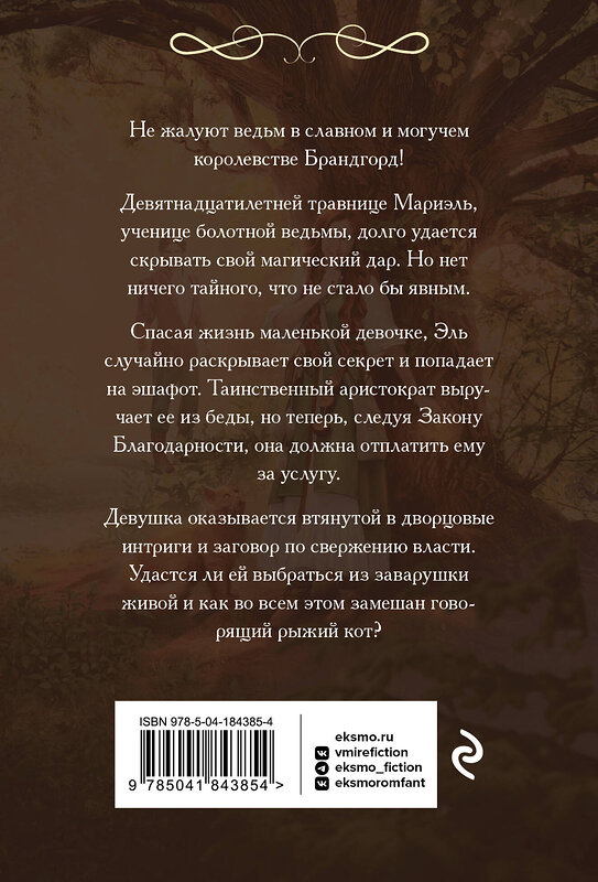 Эксмо Маргарет Астер "Закон Благодарности. Ведьма" 442127 978-5-04-184385-4 