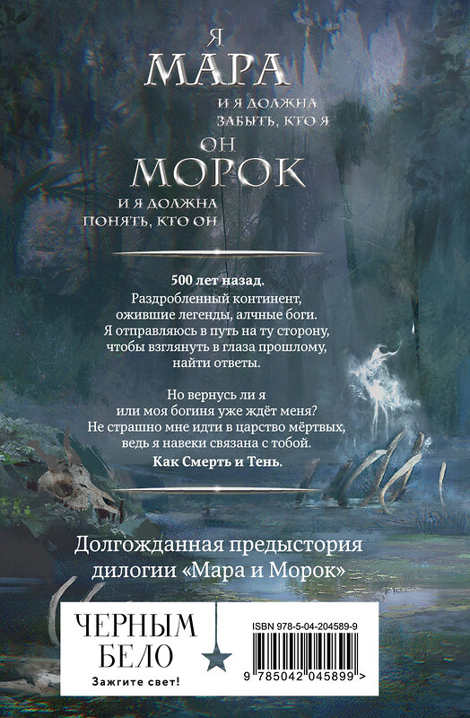 Эксмо Лия Арден "Мара и Морок. 500 лет назад" 445256 978-5-04-204589-9 