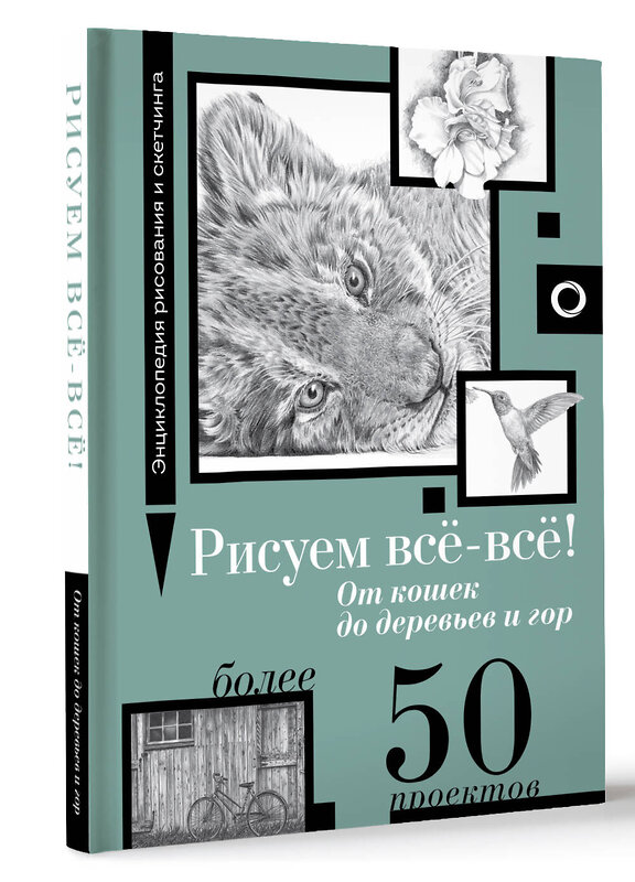 АСТ Walter Foster "Рисуем всё-всё! От кошек до деревьев и гор. Более 50 проектов" 445346 978-5-17-163418-6 