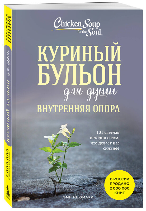 Эксмо Эми Ньюмарк "Куриный бульон для души. Внутренняя опора. 101 светлая история о том, что делает нас сильнее" 450377 978-5-04-195684-4 