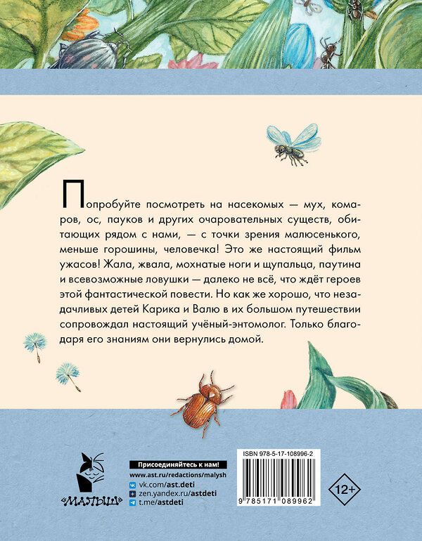 АСТ Ларри Я.Л. "Необыкновенные приключения Карика и Вали" 458434 978-5-17-108996-2 