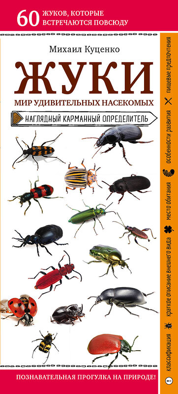 Эксмо Михаил Куценко "Жуки. Мир удивительных насекомых" 460319 978-5-04-111883-9 