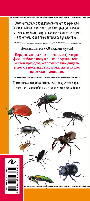 Эксмо Михаил Куценко "Жуки. Мир удивительных насекомых" 460319 978-5-04-111883-9 