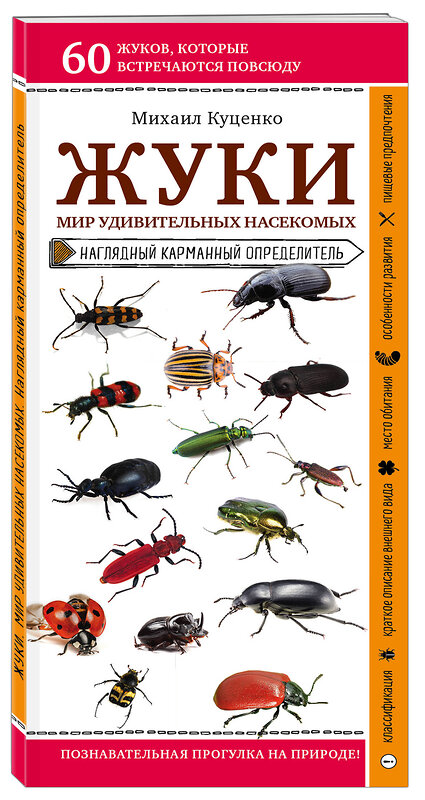 Эксмо Михаил Куценко "Жуки. Мир удивительных насекомых" 460319 978-5-04-111883-9 