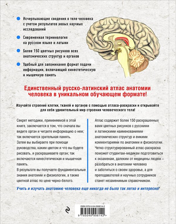 Эксмо Г.Л. Билич, Е.Ю. Зигалова "Анатомия: русско-латинский атлас-раскраска" 464110 978-5-04-099814-2 