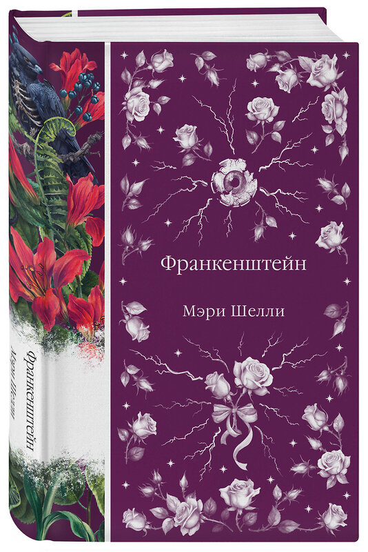 Эксмо Мэри Шелли "Франкенштейн, или Современный Прометей (книга #7)" 464494 978-5-04-205232-3 