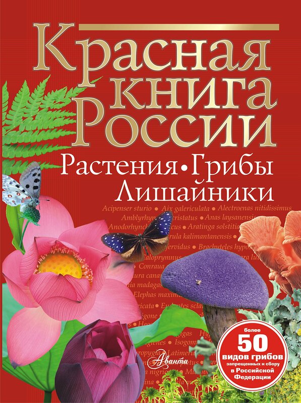 АСТ Пескова И.М. "Красная книга России. Растения Грибы Лишайники" 464647 978-5-17-157276-1 