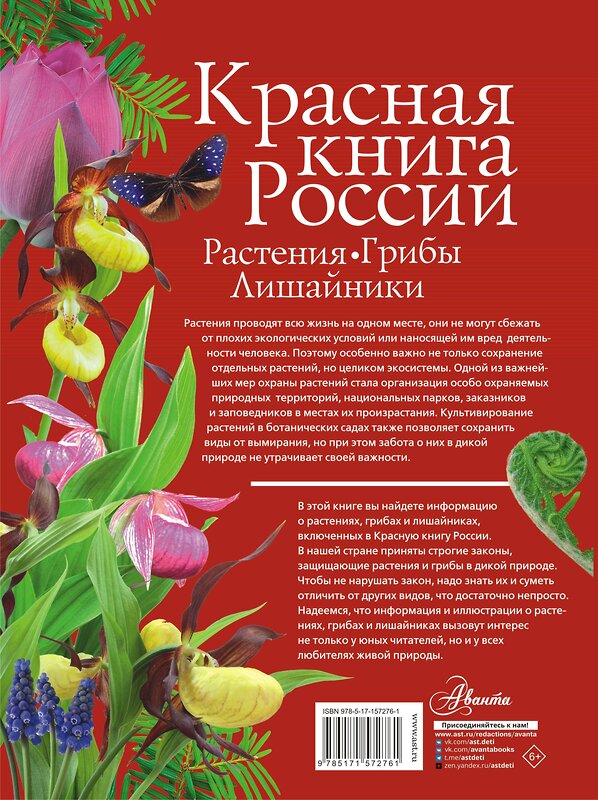 АСТ Пескова И.М. "Красная книга России. Растения Грибы Лишайники" 464647 978-5-17-157276-1 