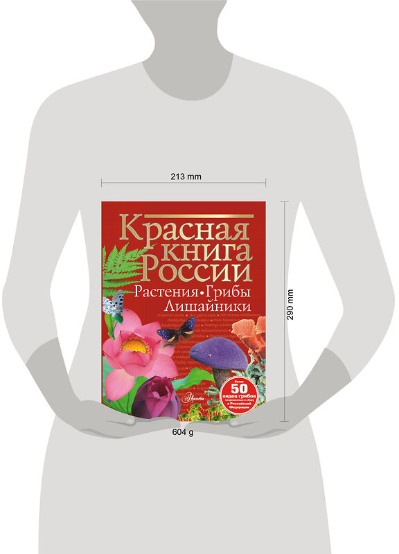 АСТ Пескова И.М. "Красная книга России. Растения Грибы Лишайники" 464647 978-5-17-157276-1 