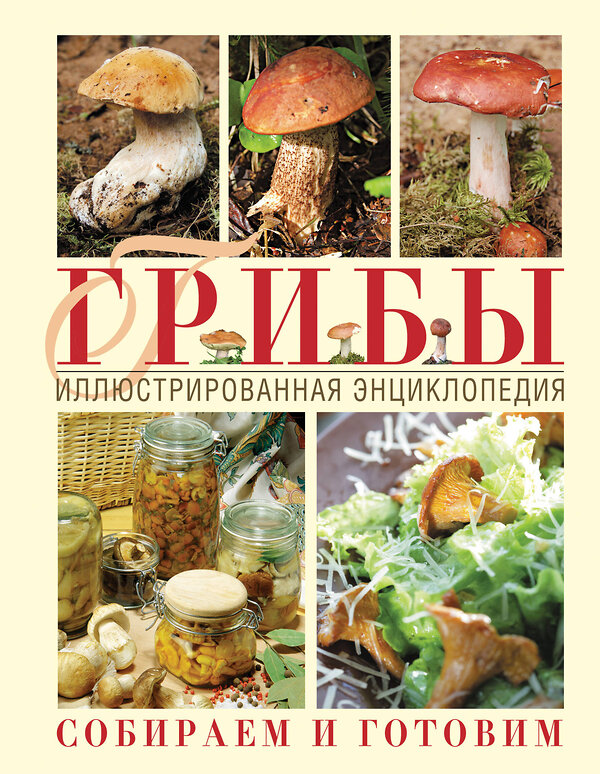 Эксмо Ильина Т.А. "Грибы. Иллюстрированная энциклопедия. Собираем и готовим" 474550 978-5-699-21727-4 
