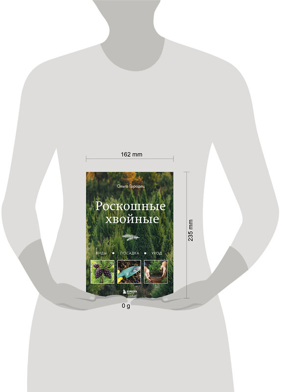 Эксмо Ольга Городец "Роскошные хвойные. Виды, посадка, уход" 475381 978-5-04-210867-9 