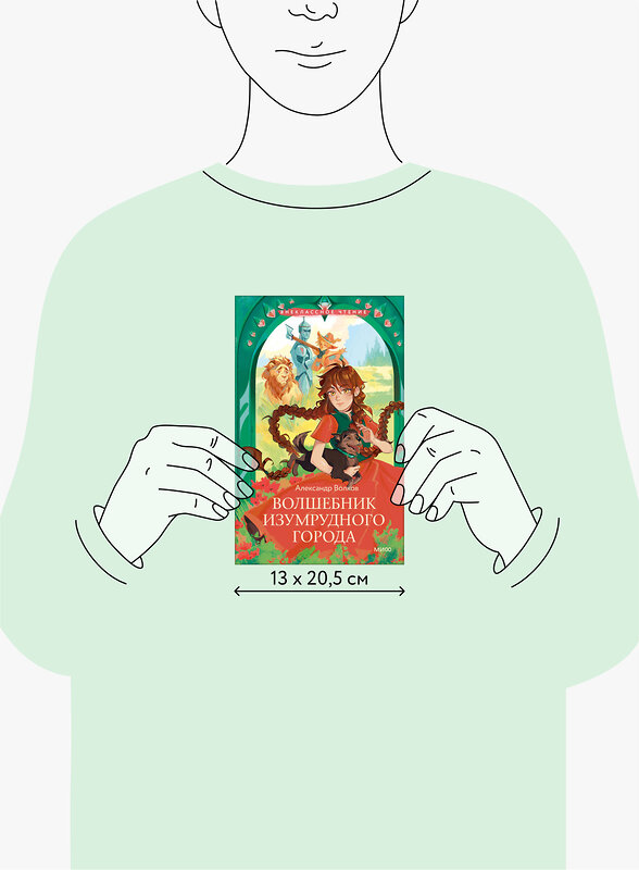 Эксмо Волков А. М. "Волшебник Изумрудного города (Внеклассное чтение)" 475396 978-5-00214-812-7 