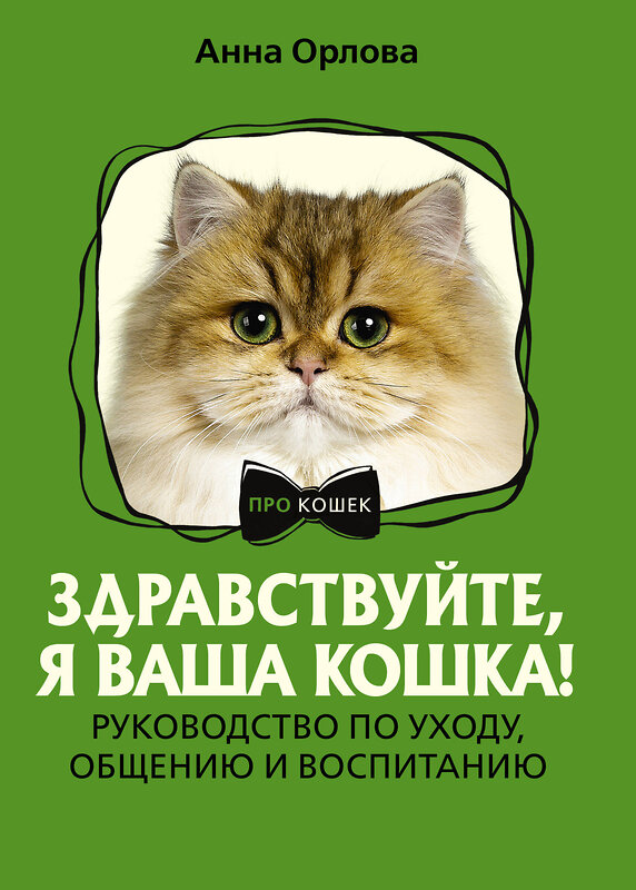 АСТ Анна Орлова "Здравствуйте, я ваша кошка! Руководство по уходу, общению и воспитанию" 475662 978-5-17-164144-3 